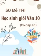 Bộ 30 Đề thi học sinh giỏi Văn 10 (Có đáp án)